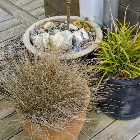 Hébergement de vacances Aksinja - 700m From The Sea By Interhome